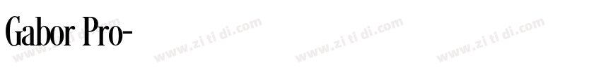 Gabor Pro字体转换